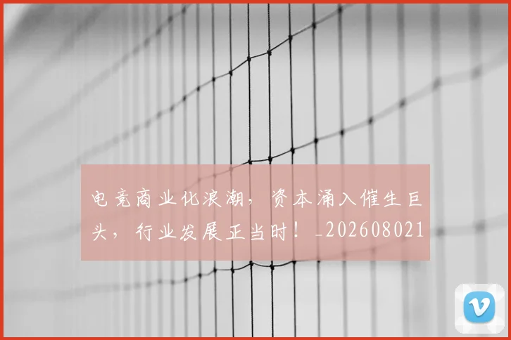 电竞商业化浪潮，资本涌入催生巨头，行业发展正当时！_20260802161939